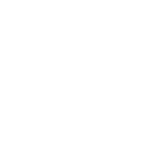 Anneaux Fine Jewelry - Client Logos - Projects 369