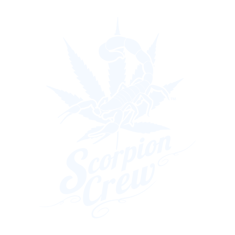 Scorpio Crew Lifestyle - Client Logos - Projects 369